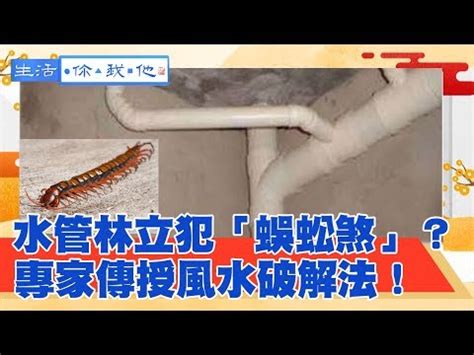 蛇煞化解|【蛇煞影響】蛇煞影響！家裡的蛇煞怎麼辦？延長線家電擺放需留。